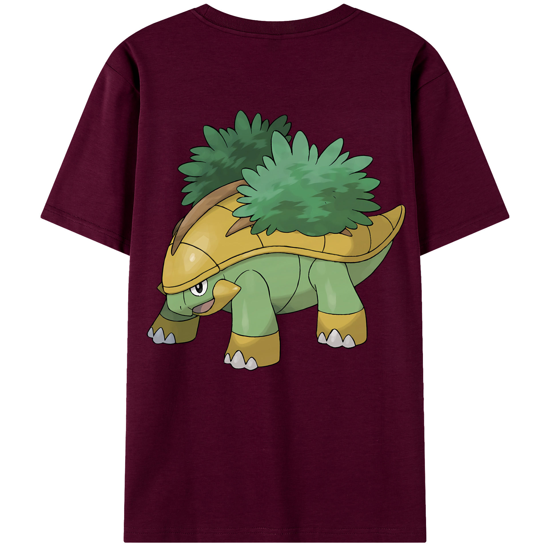 （画像用） ポケットモンスター Pokémon レディース半袖Tシャツ(バックプリント)